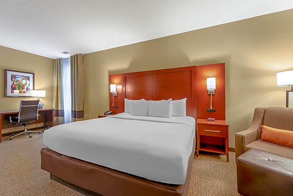 Comfort Inn Memphis Downtown