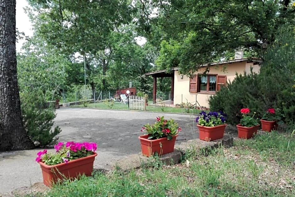 B&B Agriturismo La Casetta di Ben