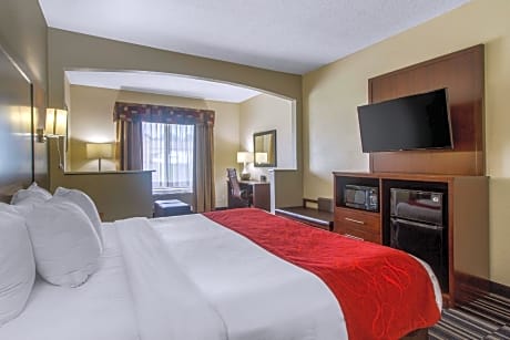 1 King Bed Suite Nonsmoking Accessible