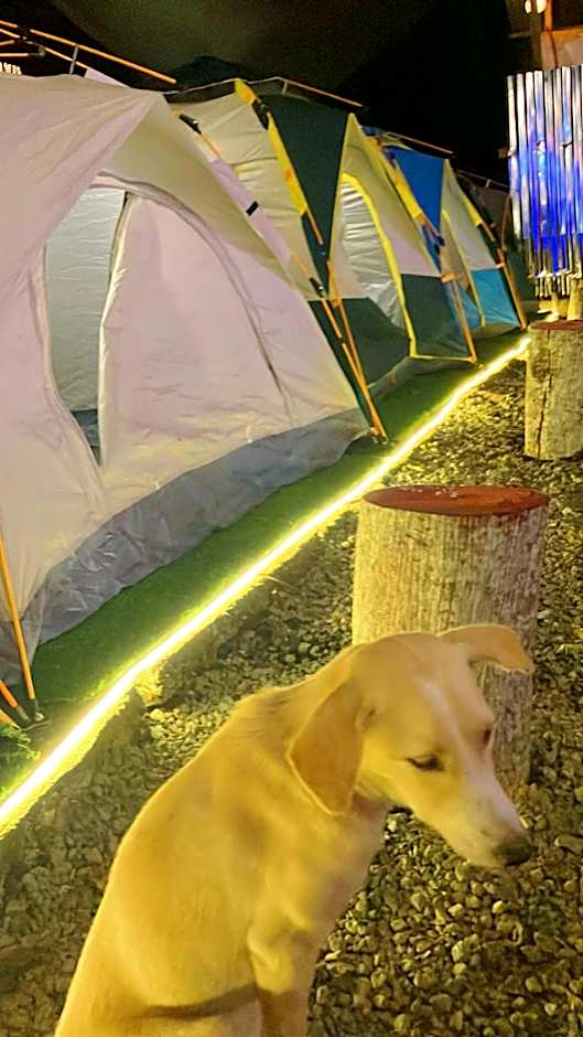 CampSarap Hostel & Resort
