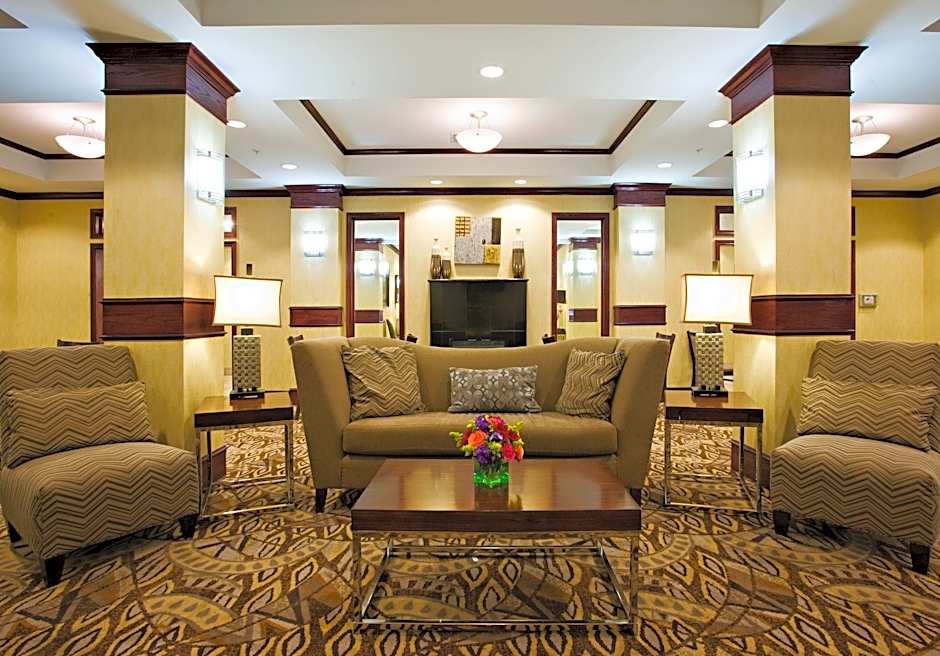 Holiday Inn Express and Suites Snyder By IHG