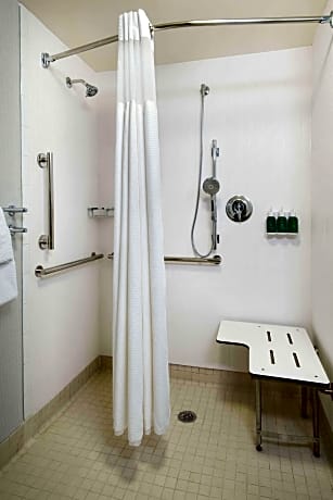 Deluxe - King - Mobility/Hearing Accessible - Roll-In Shower