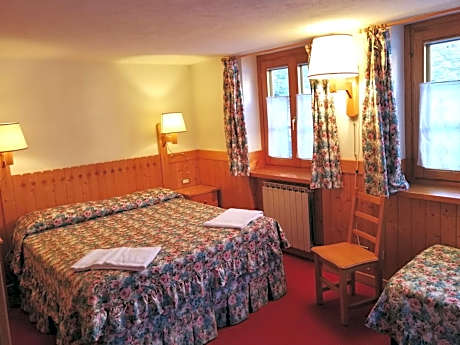 Basic Triple Room