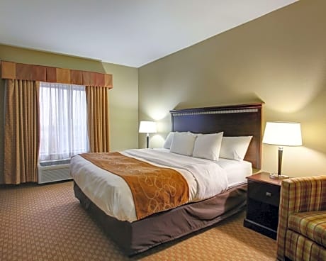 1 Bedroom Suite