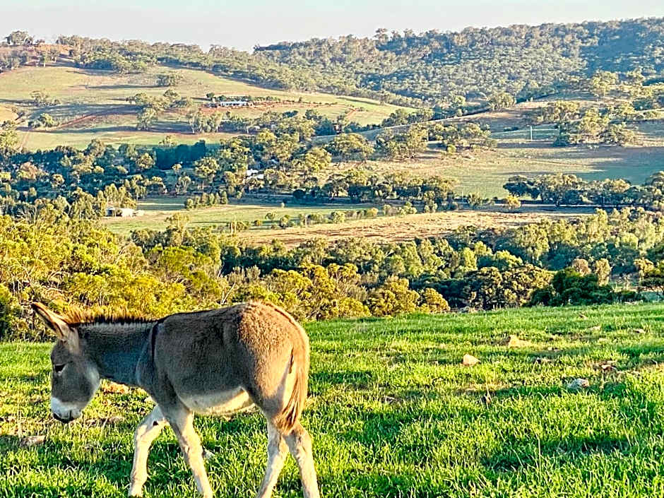 Sandalwood Downs Fabulous Farm Stay TOODYAY