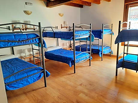 Bed in 8-Bed Dormitory Room