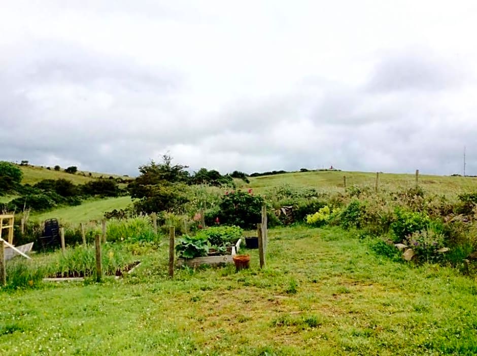 Holland House F94DP26