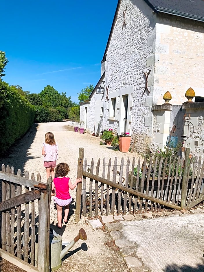 Gîte verveine bain nordique jacuzzi l écrin de verdure chinon