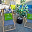 modern&renovated - Hotelpension Oberauer Wagrain