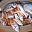 Hotel Ristorante Sturno