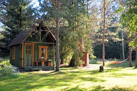 Saia Forest House