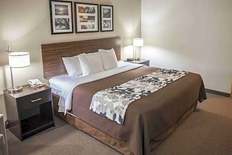 1 King Bed, Nonsmoking