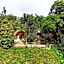 Green Forest Tangkahan