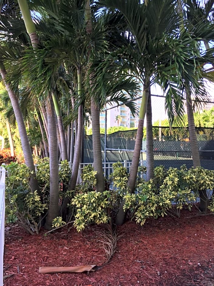 Ocean Reserve STR-01045