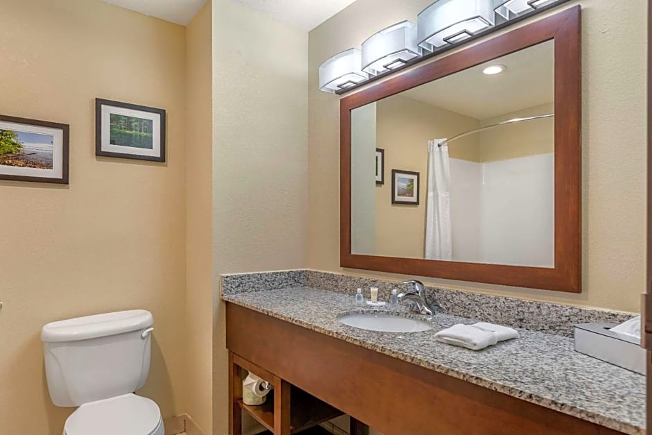 Comfort Suites Grand Rapids North