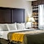 Comfort Inn Birch Run - Frankenmuth