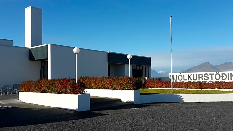 Milk Factory