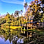 Domaine des Hayes