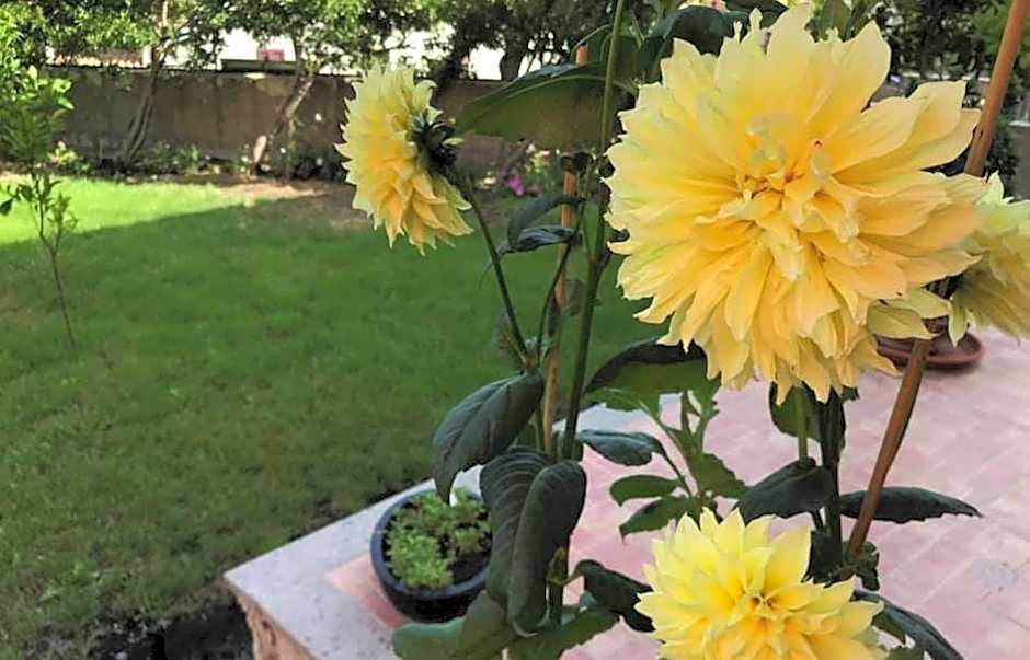 Il giardino degli aranci