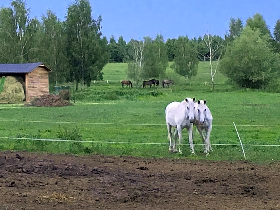 Stajnia Sarnówek Nad Jeziorem Różany