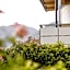 Garden Residence