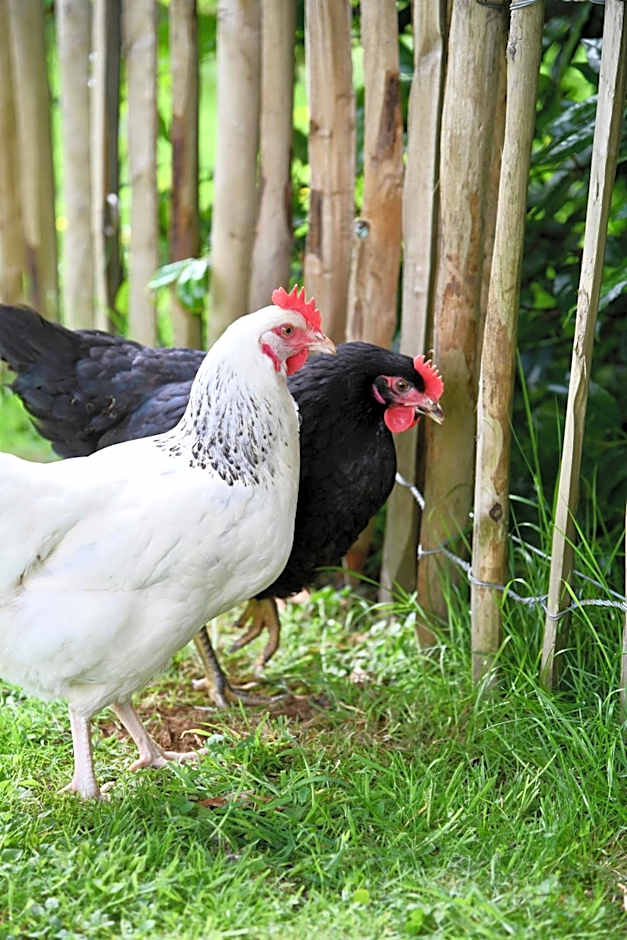 ibis Brest Kergaradec Aeroport