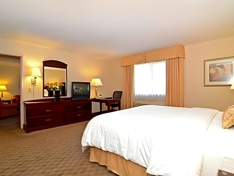 1 KING BED NONSMOKING
