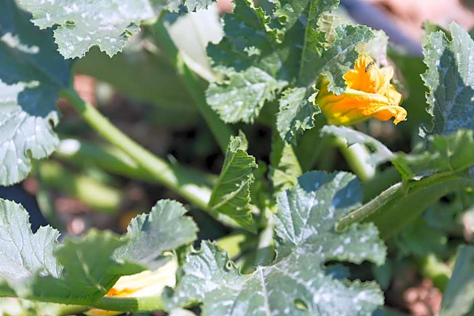 untagged