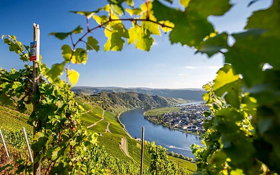 WohnGut Koblenz