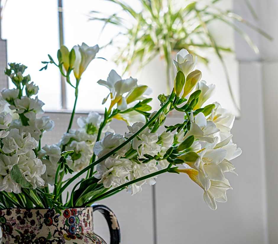 Mayflower Hotel Malta