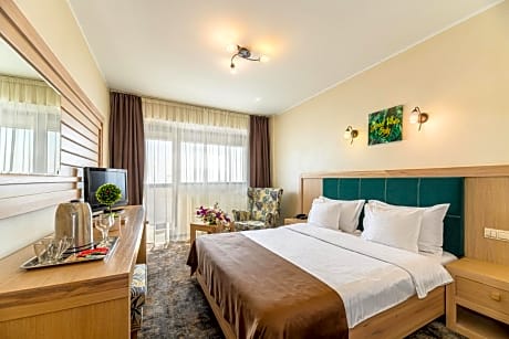 Double Standard Room with Balcony and Danube View