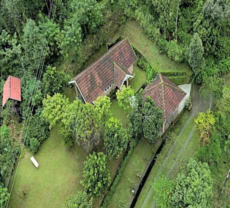 King Room with Mountain View