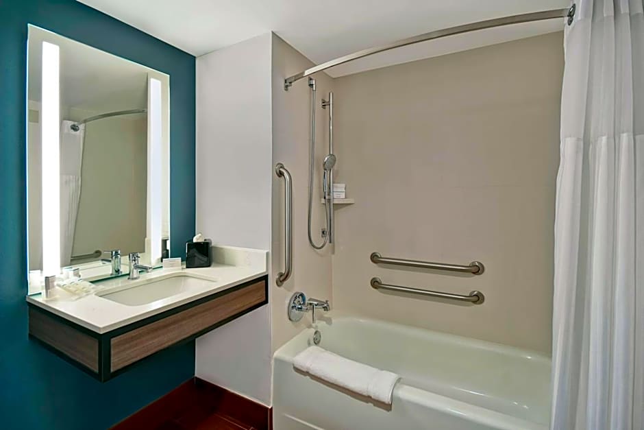 Hilton Garden Inn Houston/Galleria Area