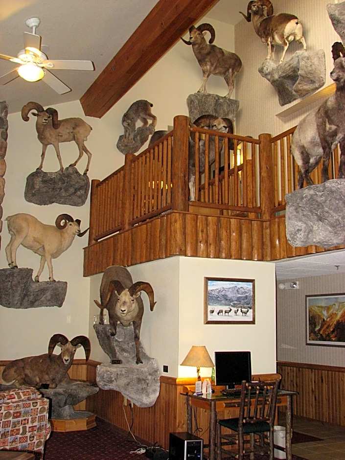 AmericInn by Wyndham Cody