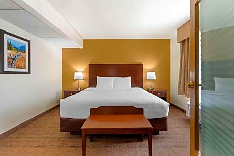 Deluxe King Suite - Non-Smoking