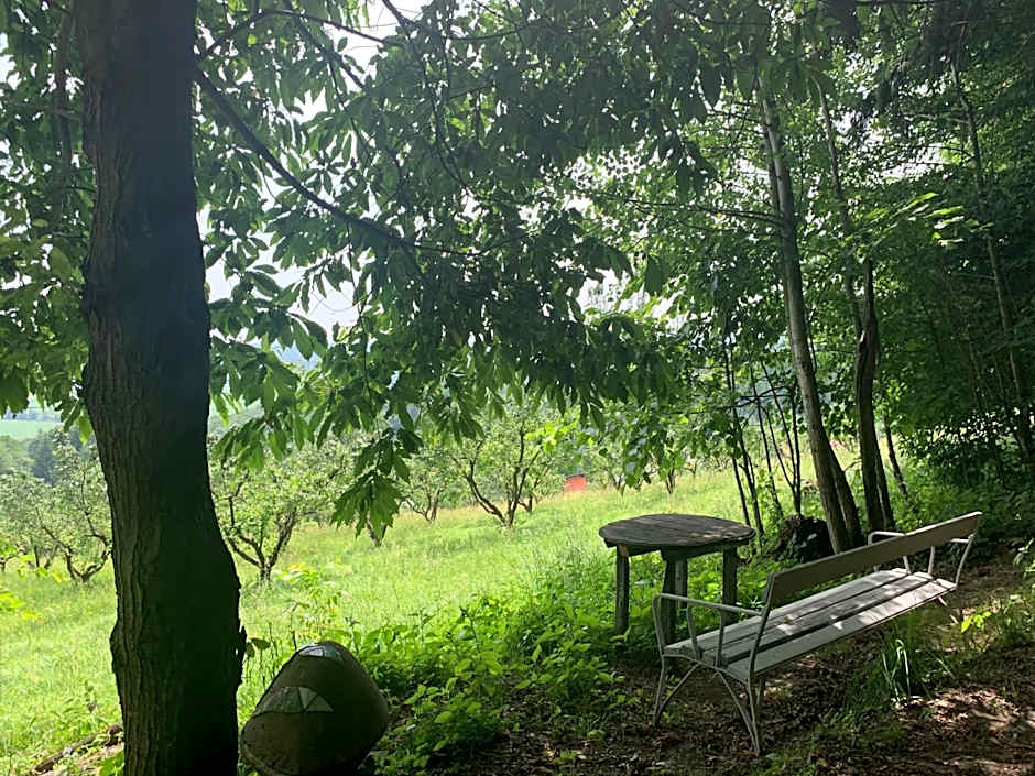 Koschak Wirt & Weinbauer