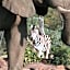 Makweti Safari Lodge