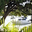 Regatta Noosa