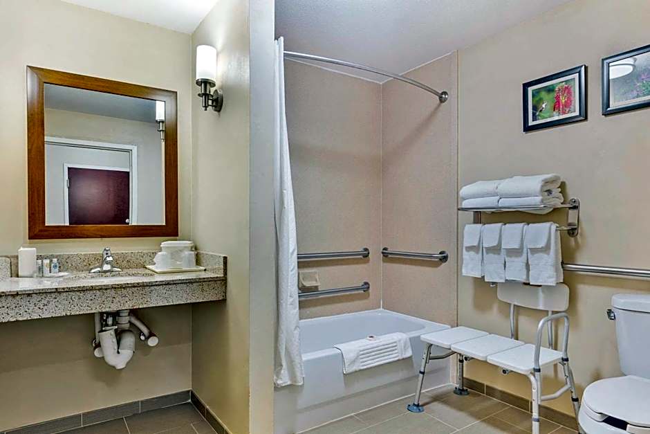 Comfort Suites Wilson - I - 95