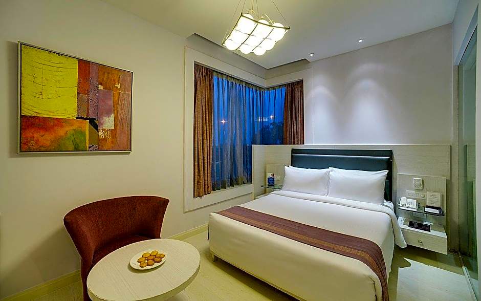 Sarovar Portico Naraina Delhi