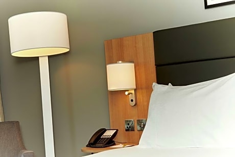 Queen Accessible Room