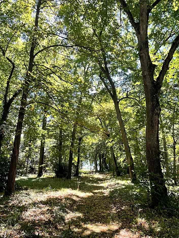 Château de Praslins