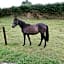 Cedar Lodge Self Catering Accommodation H91 CF9D