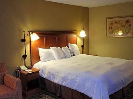 King Room - Non-Smoking