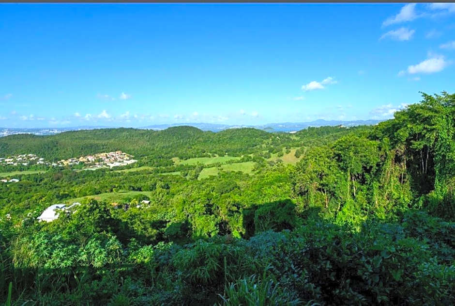 Magnifique T2 au Trois ilets avec vue Panoramique