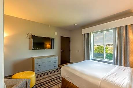 1 Queen Bed, One-Bedroom, Suite, Non-Smoking