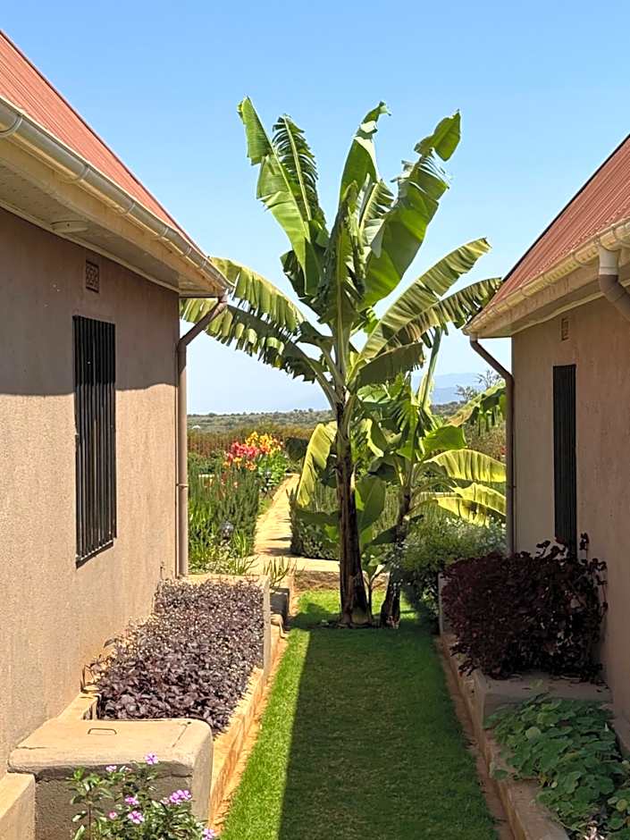 Heart and Soul Lodge