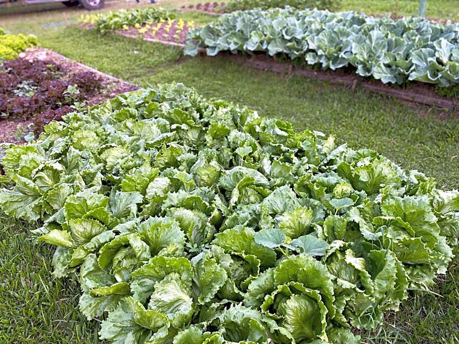 Cabanas Portal da Serra