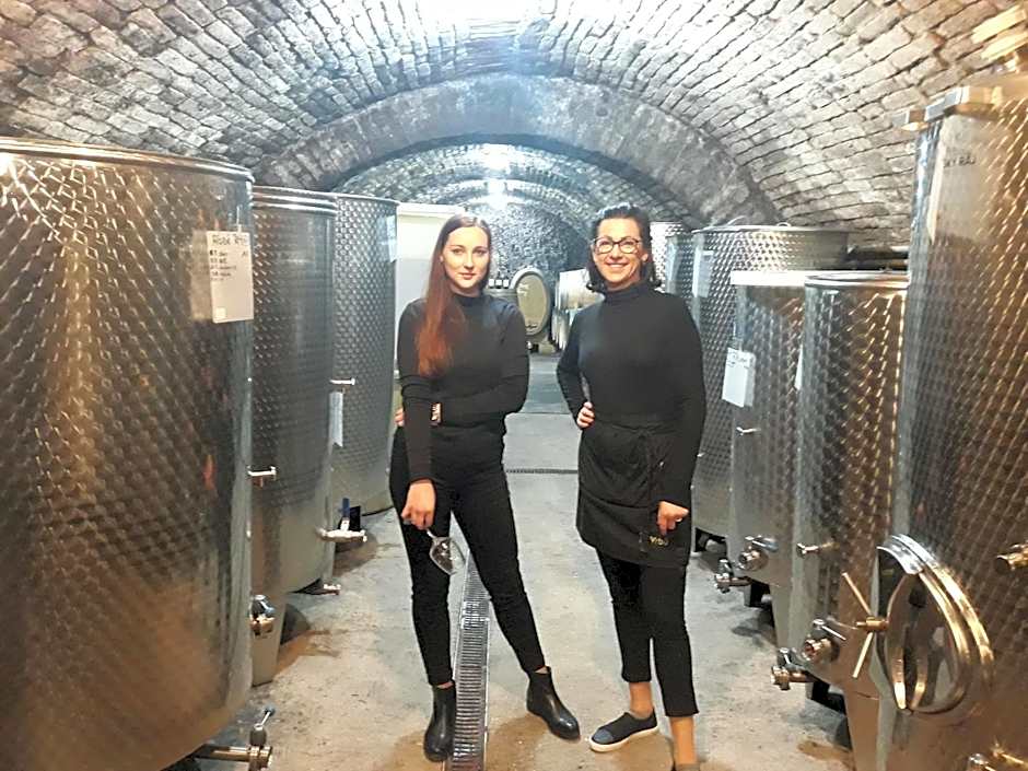 Penzion a vinařství U Vrbů