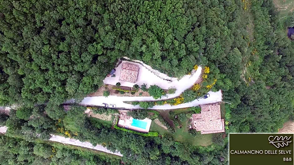 Calmancino delle Selve